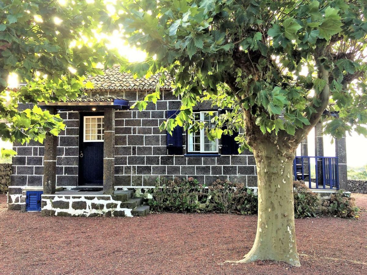 Casa Da Canada Ribeira Grande Dış mekan fotoğraf